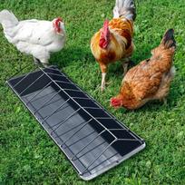 18 Slots Pigeon Chicken Feeder No Waste Thickened Water Dispenser Feeding Dish for Balcony Garden Straight
