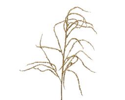 Kalėdinė dekoracija GOLD GRASS, auksinės sp., 13 x 2 x 83 cm, 1 vnt