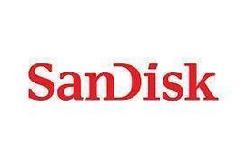 MEMORY DRIVE FLASH USB-C 256GB/SDIXS0N-256G-GN6NQ SANDISK