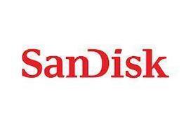 MEMORY DRIVE FLASH USB-C 256GB/SDIXS0N-256G-GN6NG SANDISK