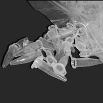 500 vnt. 1,5 ml mikrocentrifugos mėgintuvėlis Bandymų mėgintuvėlis Buteliukas Skaidrus plastiko buteliukas Talpyklė Su užsegamu dangteliu laboratoriniams mėginiams 1.5ml 500pcs a bag