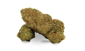 MINT KUSH – Kanapių Žiedai