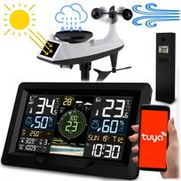 Meteorologinė stotelė su vėjo ir lietaus jutikliu BD-914 juoda