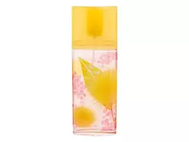 Kvepalai moterims Elizabeth Arden Green Tea Mimosa EDT, 100 ml