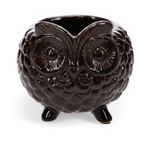 Iš keramikos gėlių vazono dangtelis ø 11 cm Owl – Rex London
