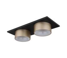 Globo 56964-2 - LED lubų šviestuvas RAYMOND LED/24W/230V 3000K 46x20 cm, žalvarinis