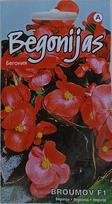 Begonija Broumov F1
