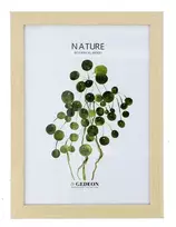 Rėmelis  GED 21x30 medinis D621 natūralus|15x9mm