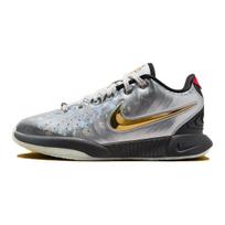 Nike LeBron 21 GS SE Visų žvaigždžių vaikiški sportbačiai Sidabrinis metalikas-Sidabrinis metalikas-Auksinis FJ1530-001 38.5