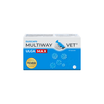 JM SANTE Multiway Vet Duocaps Neuro 60tabl.