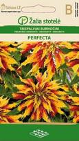 Trispalviai burnočiai Perfecta