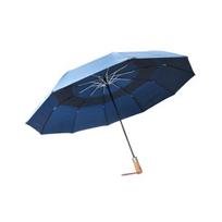Skėtis su vėjo kišene, automatinis, Parachase