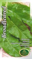 Valgomosios Rūgštynės Broadleaved