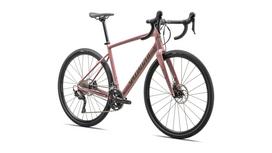 Specialized Diverge E5 Elite Gloss Dusky Pink / Cypress Green Metallic - gravel dviratis