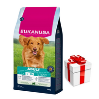 EUKANUBA Adult Large Breed Lamb&Rice 12kg + Staigmena ŠUNIUI