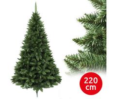 Kalėdinė eglutė 220 cm, eglė