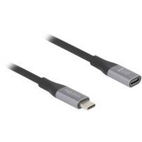 Delock - USB-Verlängerungskabel - 24 pin USB-C (M) zu 24 pin USB-C (W) - USB 2,0 / USB 3,2 / USB4 / Thunderbolt 3  5 A - 2,0m - Schwarz, Grau (81202)