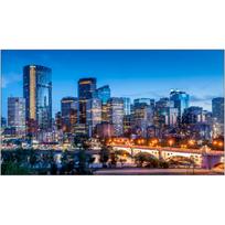 Monitor professional VM55B-E 55 inch Video Wall Mat 24h/7 500(cd/m2) 1920x1080 (FHD) 3 years On-Site (LH55VMBEBGBXEN)