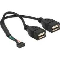 Delock - USB-Kabel intern auf extern - 10-poliger USB-Header (W) zu USB (W) - 20cm - Schwarz (84933)