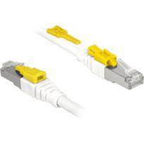 DeLOCK Secure - Patch-Kabel - RJ-45 (M) bis RJ-45 (M) - 50cm - STP - CAT 6a - halogenfrei - weiß (85330)