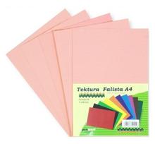Gofruotas kartonas PENWORD, A4 5 lapai, lašišos spalvos