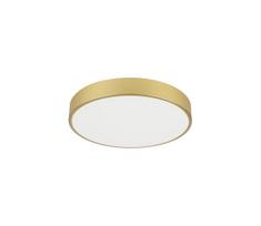 Immax NEO 07292L - LED+CCT reguliuojamas lubinis šviestuvas SEMPLICI 36W/230V Ø 40 cm su nuotoliniu pulteliu