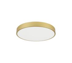 Immax NEO 07293L - LED+CCT dimeriuojamas lubinis šviestuvas SEMPLICI 60W/230V, skersmuo 60 cm + su nuotoliniu pulteliu