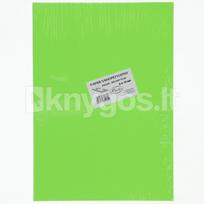 Lipnus popierius A4/10l PROTOS Fluo žalias