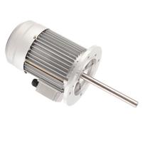 750W Karščiui atsparus trifazis elektros variklis 1400RPM 220V 380V