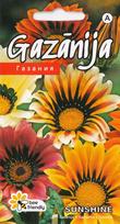 Gazanija Sunshine
