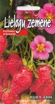 Žemuogės Kurzemes Seklas Ruby Ann