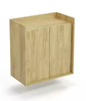 Pakabinama spintelė MOBIUS  2D, ąžuolo