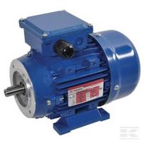 Elektrinis variklis 0,55 kW EM71B2B3B14300IE2A