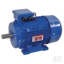 Elektrinis variklis 4 kW EM112M2B3300IE3AKR