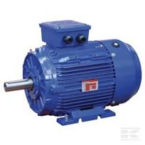 Elektrinis variklis 15 kW EM160L4B3500IE3GKR