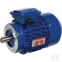 Elektrinis variklis 1,1 kW IP56 EM90S4B14301IE3AKR