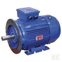 Elektrinis variklis 22 kW EM180L4B3B5500IE3G