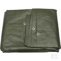 Tentas 4×5 m, 100 g/m² T400500100KR