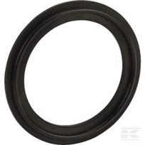 Tri-clamp sandarinimo tarpinė 2" FPM TCG2FPM