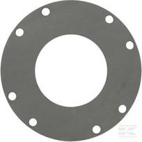 Varomasis diskas da=190 h=4, FF2 248230002R02