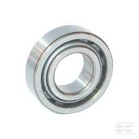 Cilindrinis ritininis guolis 25x52x15mm INA/FAG NJ205ETVP2