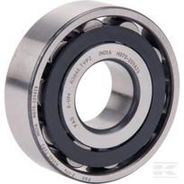 Cilindrinis ritininis guolis 20x52x15mm INA/FAG N304EXLTVP2