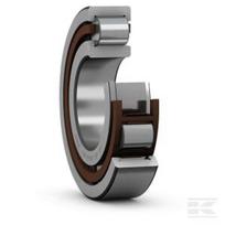 Cilindrinis ritininis guolis 50x110x40mm SKF NJ2310ECPC3