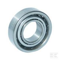 Veleno guolis 25x47x12mm INA/FAG B7005ETP4SUL