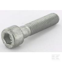 Cilindro varžtas M10x45-8,8 36090161