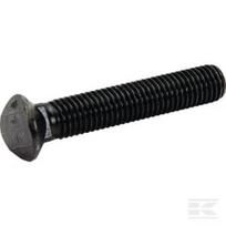 Balnelio varžtas M12x70 CP7043