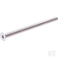 Įgilintas varžtas M6x100-A4 30110218