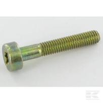 TORX varžtas 5x30 18339