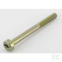 Torx varžtas M5x55 18378