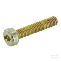 Torx varžtas M6x30 KXRI.T25 18349
